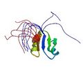 Thumbnail for version as of 13:00, 9 December 2008