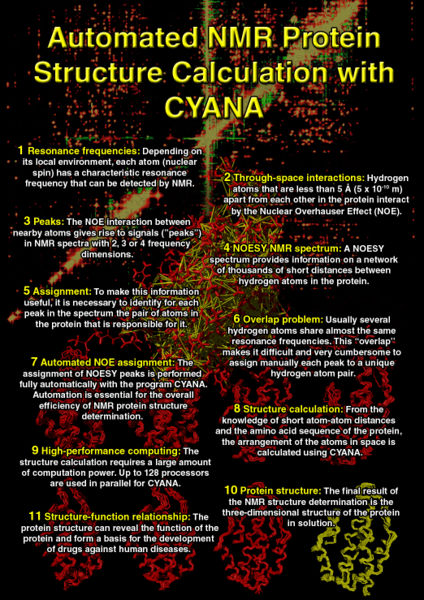 File:StructCalcCyana.jpg